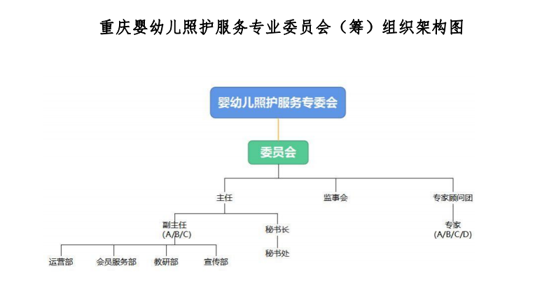 重慶市繼續(xù)教育學(xué)會嬰幼兒照護(hù)服務(wù)專業(yè)委員會