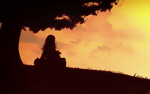 本科成考和自考的區(qū)別？