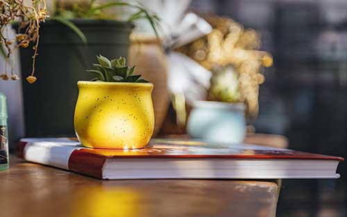 成人高考本科成績怎么查詢？成績什么時候出來？