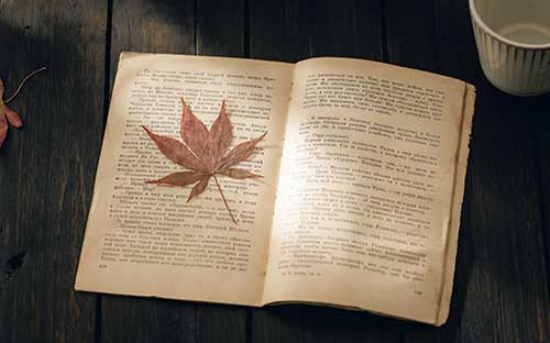 海南成人高考成績什么時候出？