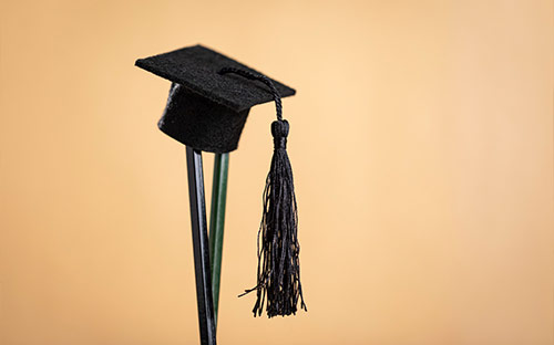 新西蘭醫(yī)科大學學費多少錢？新西蘭留學周末應該怎么過去