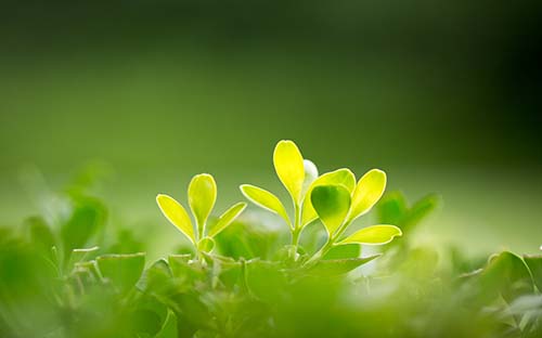 美國油畫專業(yè)留學(xué)費(fèi)用多少