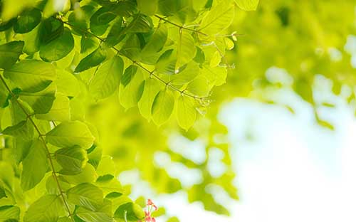 英國皇家藝術(shù)學院世界排名